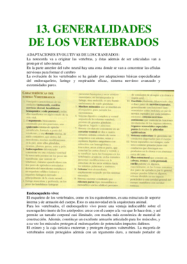 13. GENERALIDADES DE LOS VERTEBRADOS.pdf