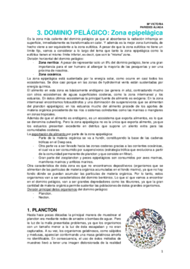 3. Dominio pelágico.pdf