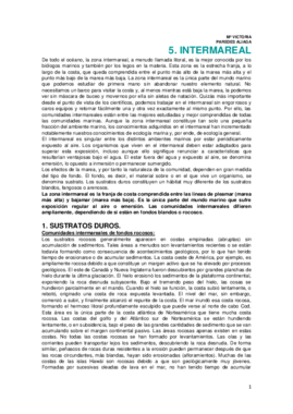 5. INTERMAREAL.pdf