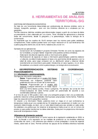 8. HERRAMIENTAS DE ANÁLISIS TERRITORIAL-SIG.pdf
