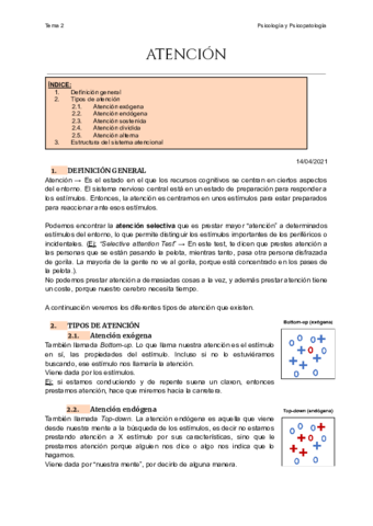 Tema-2-Atencion.pdf