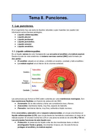 Tema-8-Punciones.pdf