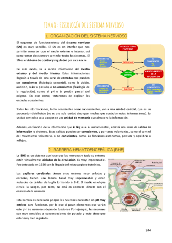 Tema-8-Fisiologia-del-sistema-nervioso-2.pdf