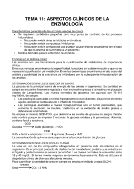 Tema 11.pdf