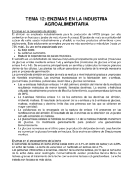 Tema 12.pdf