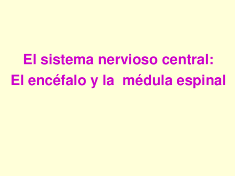 anatomiasistemanervioso-1.pdf