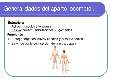 LOCOMOTOR-I-esqueletico-1.pdf