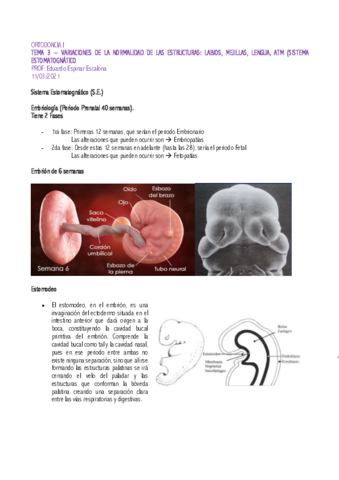 Ortodoncia-I-Tema-3-Sist-Estomatognatico.pdf