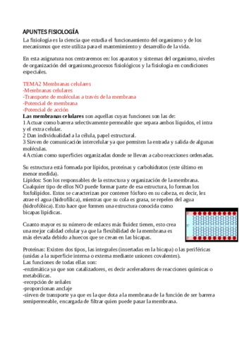 APUNTES-FISIOLOGIA-TEMA-2-Y-3.pdf