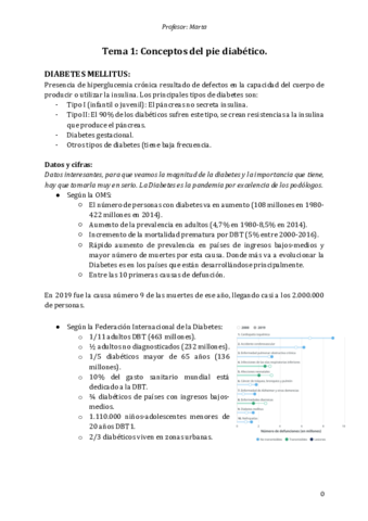 Pie-de-riesgo-Marta.pdf