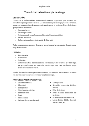 Pie-de-riesgo-Pilar.pdf