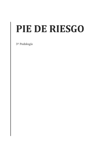 Pie-de-riesgo-Ivan.pdf