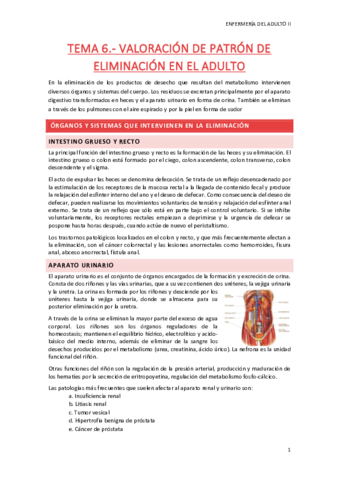 TEMA-6.pdf