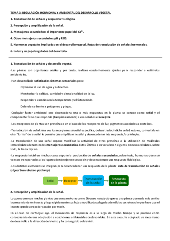 Tema-3apuntes-clase.pdf