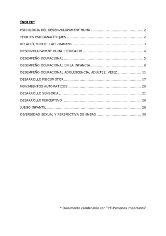 PE-RESUMEN.pdf