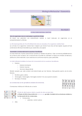 Biologia-Molecular-i-Genomica.pdf