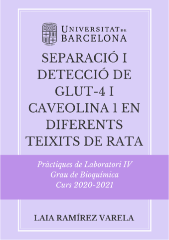 INFORME-GLUT4CAVEOLINA1-LAIA.pdf