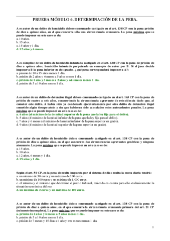 TESTpenal.pdf