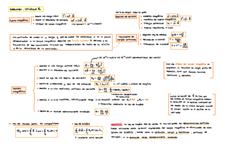 ESQUEMARESUMENCAMPOMAGNETICT5.pdf