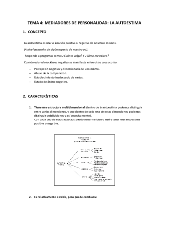 TEMA-4-PROMOCION.pdf