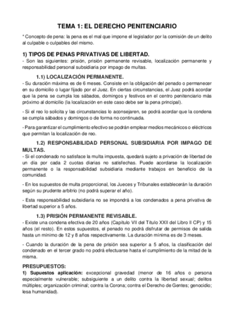 MANUAL-PENITENCIARIO.pdf