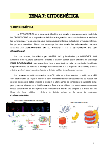 TEMA-7-CITOGENETICA.pdf