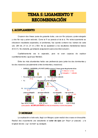 TEMA-5-LIGAMIENTO-Y-RECOMBINACION-1.pdf