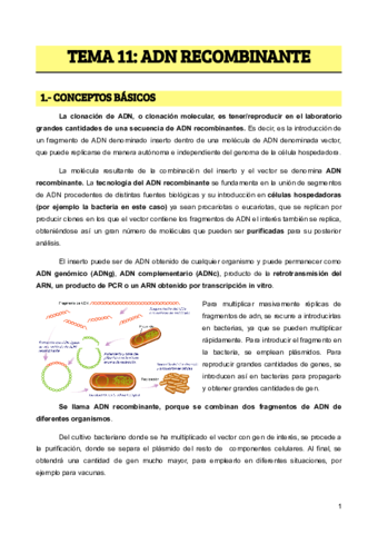 TEMA-11-ADN-RECOMBINANTE-1.pdf