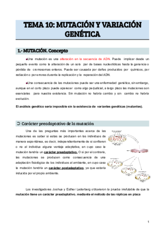 TEMA-10-MUTACION-Y-VARIACION-GENETICA.pdf