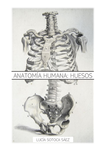 ANATOMIA-HUMANA-HUESOS.pdf