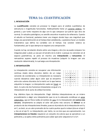 TEMA-16.pdf