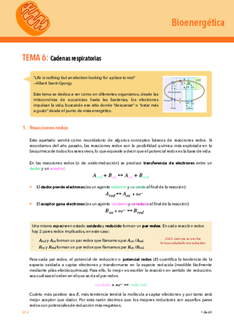 Bioenergetica-TEMA-6acabadocon-nombre.pdf