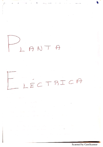 PLANTA-ELECTRICA.pdf