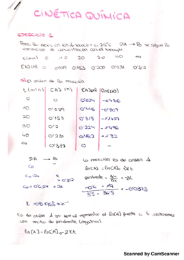 cinetica Quimica.pdf