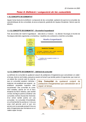 ecocococo.pdf