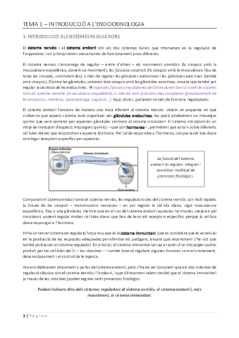 endocrino-pdf.pdf