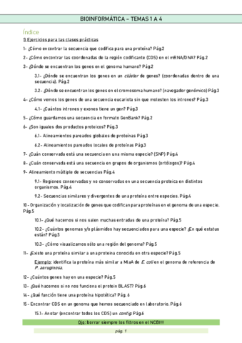 RESUM-PRACTIQUES.pdf