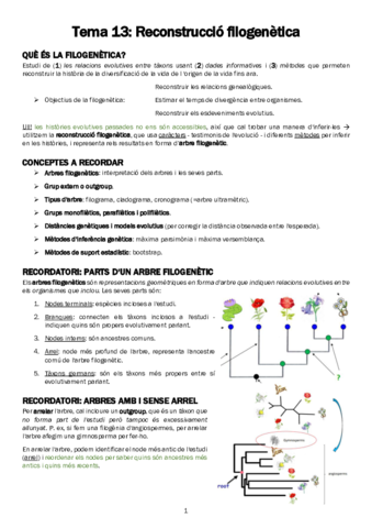 resum-evolucio.pdf