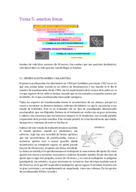 Tema 5 para.pdf