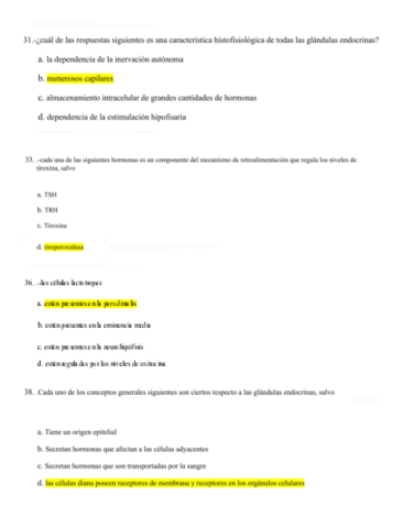 Teorico-2o-Parcial.pdf