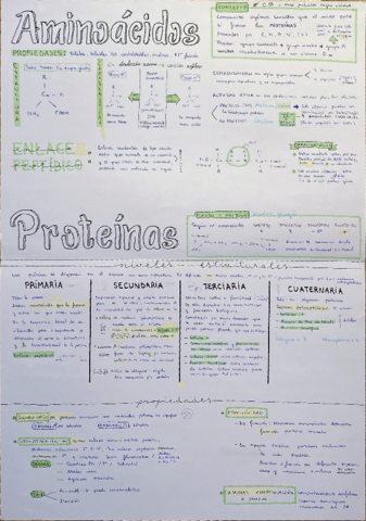 Proteinas.pdf