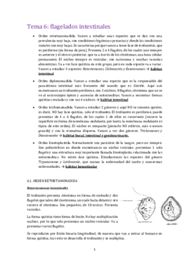 Tema 6 para.pdf