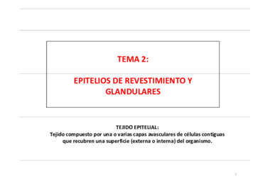 Diapositivas tema 2.pdf