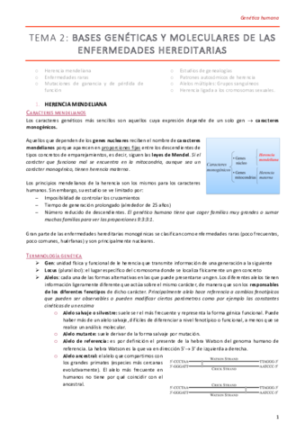 TEMA-2-GH.pdf