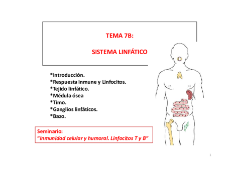 Diapositivas tema 7b.pdf