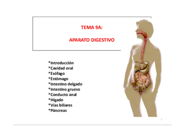 Diapositivas tema 9a.pdf