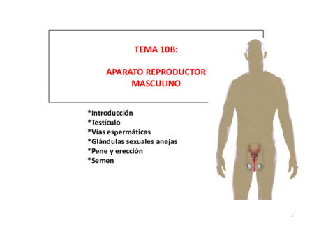Diapositivas tema 10b.pdf