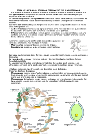 Botanica-Temas-9-13.pdf