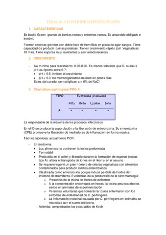 TEMA-20.pdf