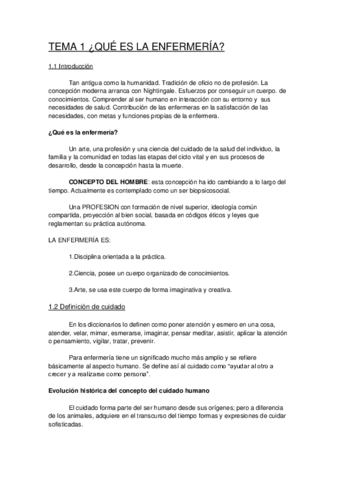 TEMA 1.pdf